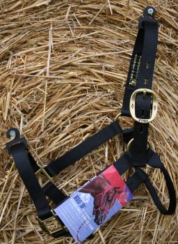 Preview: Big D Halfter Small Horse Preview: Big D Halfter Small Horse